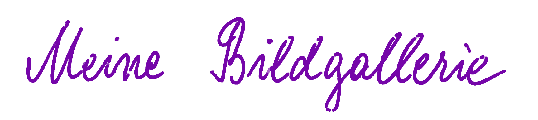 Meine Bildgallerie